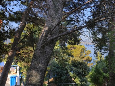 Apartment Two bedroom apartment with terrace Balića Rat, Omiš A-1065-a - Outdoor photo 37