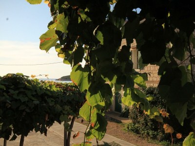 Apartment One bedroom apartment near beach Rukavac, Vis A-1154-a - Outdoor photo 19