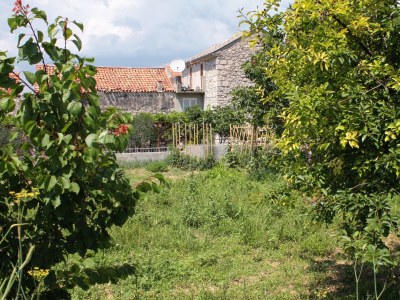 Apartment One bedroom apartment with terrace Murter A-5100-b - Outdoor photo 7