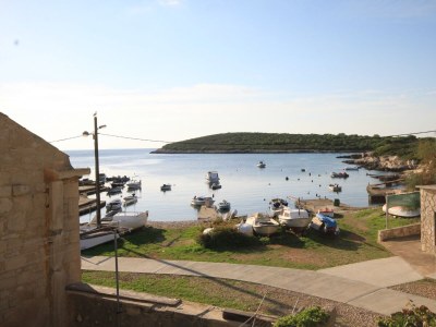 Apartment Two bedroom apartment near beach Rukavac, Vis A-1154-c - Outdoor photo 14