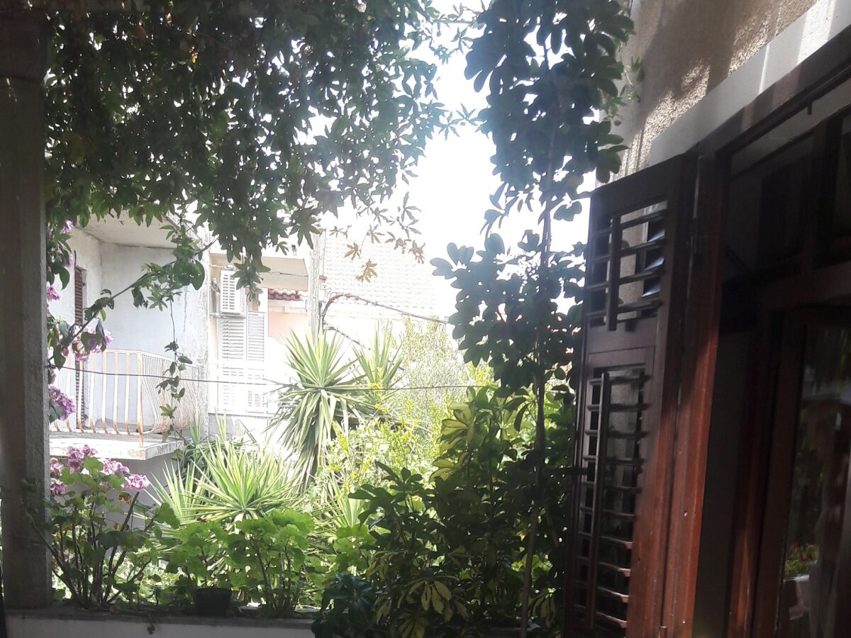 Apartment One bedroom apartment with terrace and sea view Cavtat, Dubrovnik A-2132-a - Outdoor photo 3