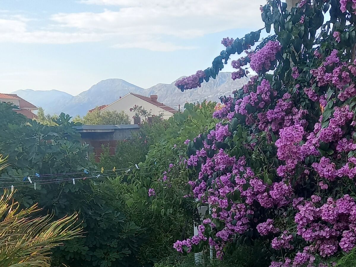 Apartment One bedroom apartment with terrace and sea view Cavtat, Dubrovnik A-2132-a - Outdoor photo 5