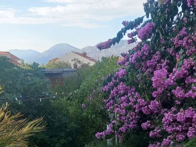 Apartment One bedroom apartment with terrace and sea view Cavtat, Dubrovnik A-2132-a - Outdoor photo 5