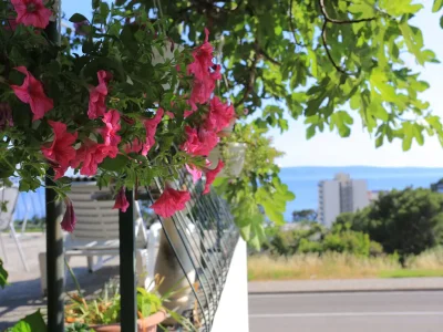 Holiday room Apartments and rooms with parking space Tučepi, Makarska - 5263 - Apartments and rooms with parking space Tučepi, Makarska - 5263 - Outdoor photo 14