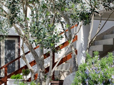 Apartment Three bedroom apartment with terrace and sea view Drašnice, Makarska A-5265-b - Outdoor photo 10