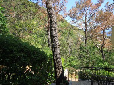 Apartment One bedroom apartment with terrace and sea view Brseč, Opatija A-2359-a - Outdoor photo 28