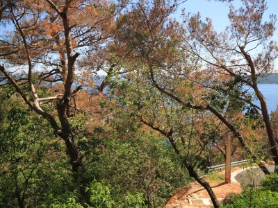 Apartment Studio flat with terrace Brseč, Opatija AS-2359-a - Outdoor photo 23