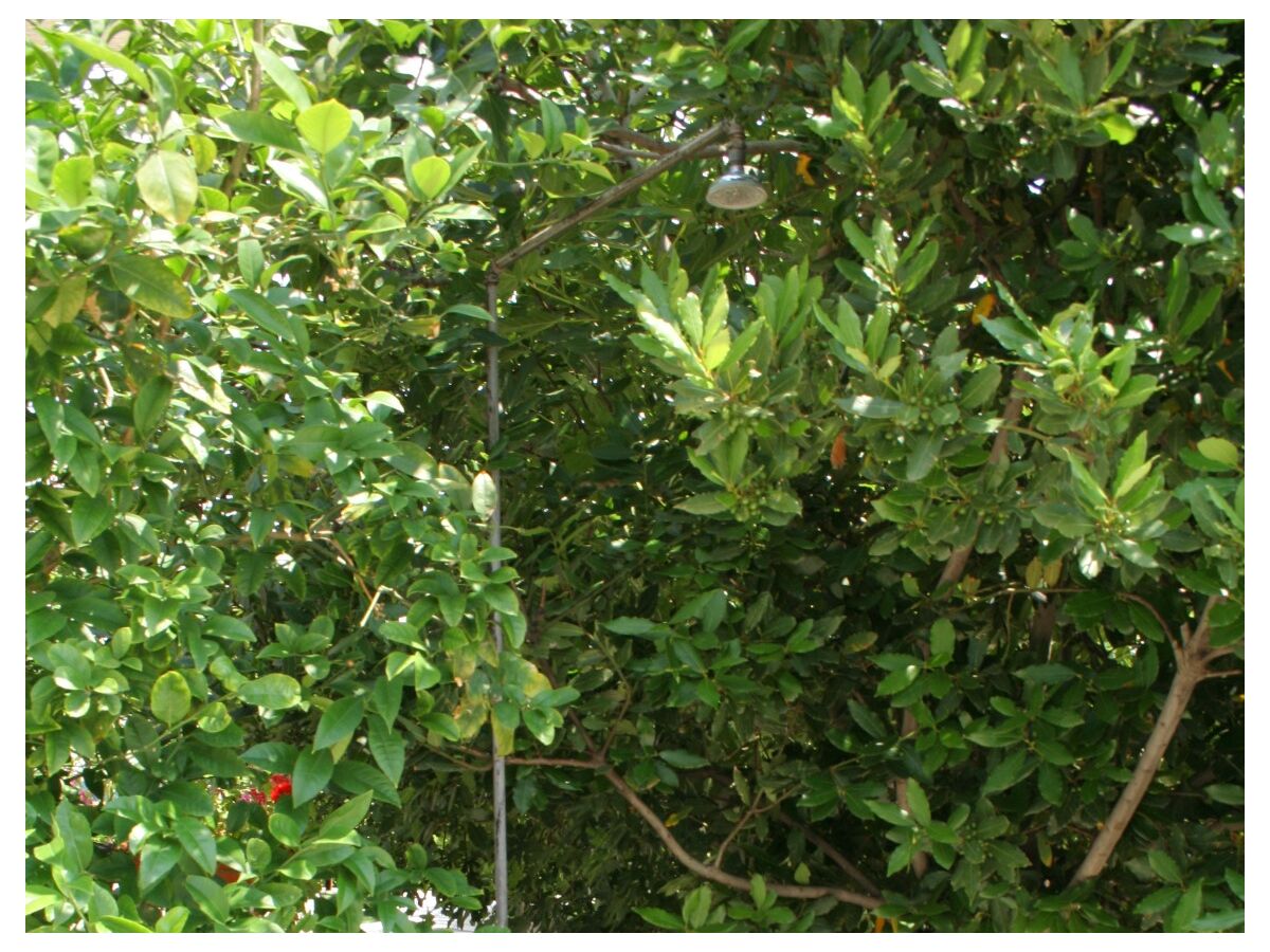 Apartment One bedroom apartment near beach Duće, Omiš A-2731-b - Outdoor photo 5