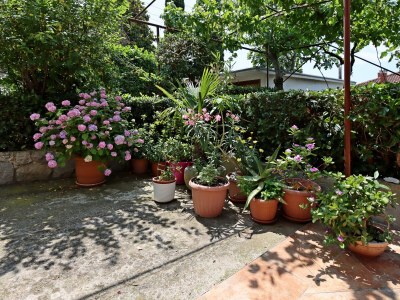 Apartment Studio flat with air-conditioning Crikvenica AS-5555-a - Outdoor photo 9