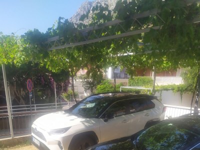 Apartment One bedroom apartment with balcony Podaca, Makarska A-2783-c - Outdoor photo 13