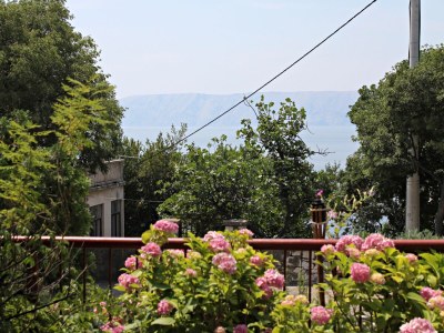 Apartment One bedroom apartment with terrace and sea view Novi Vinodolski A-5582-c - Outdoor photo 12