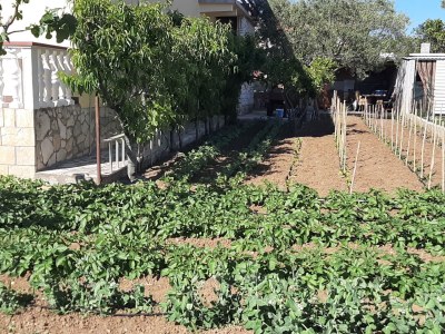 Apartment One bedroom apartment with balcony and sea view Bibinje, Zadar A-5786-b - Outdoor photo 6