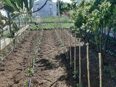 Apartment Studio flat with balcony and sea view Bibinje, Zadar AS-5786-b - Outdoor photo 8