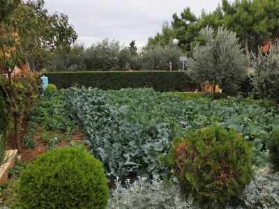 Apartment Studio flat with balcony and sea view Vrsi - Mulo, Zadar AS-5796-a - Outdoor photo 7