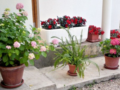 Apartment Two bedroom apartment with terrace Sukošan, Zadar A-5802-b - Outdoor photo 8