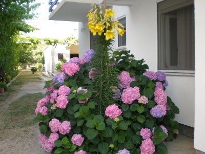 Apartment Two bedroom apartment with terrace Sukošan, Zadar A-5802-b - Outdoor photo 9