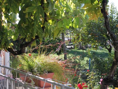 Apartment Two bedroom apartment with terrace Sukošan, Zadar A-5802-b - Outdoor photo 22