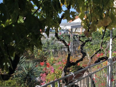 Apartment Two bedroom apartment with terrace Sukošan, Zadar A-5802-b - Outdoor photo 23