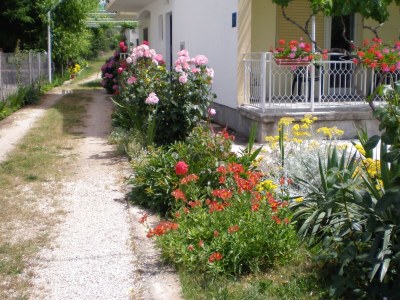 Apartment One bedroom apartment with terrace Sukošan, Zadar A-5802-c in Sukosan - Apartment