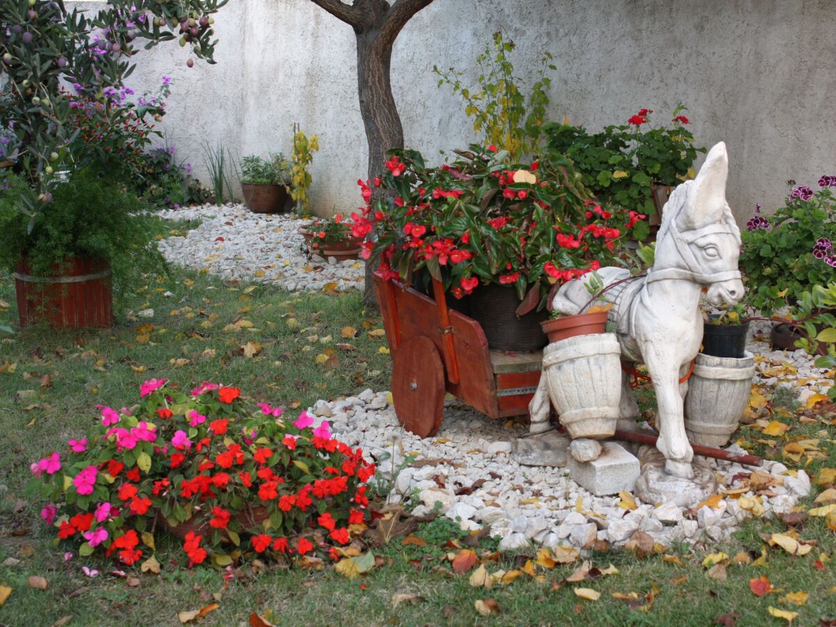 Apartment One bedroom apartment with terrace Zadar - Diklo, Zadar A-5875-a - Outdoor photo 2