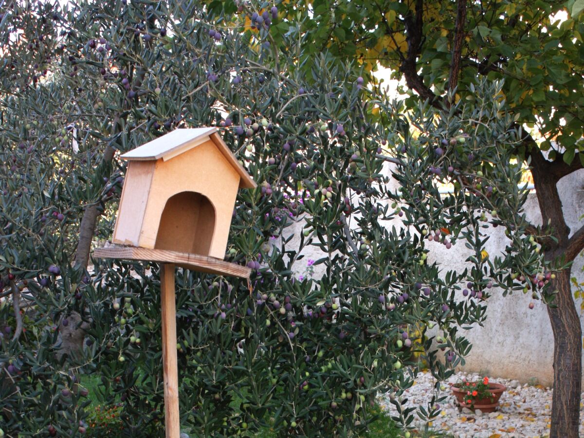 Apartment One bedroom apartment with terrace Zadar - Diklo, Zadar A-5875-a - Outdoor photo 5