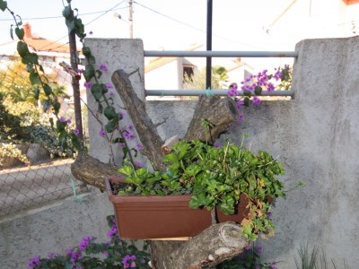 Apartment One bedroom apartment with terrace Zadar - Diklo, Zadar A-5875-a - Outdoor photo 8