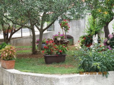 Apartment One bedroom apartment with terrace Zadar - Diklo, Zadar A-5875-a - Outdoor photo 10