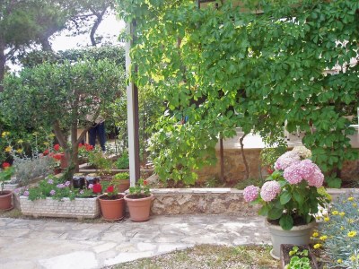 Apartment One bedroom apartment with balcony and sea view Nemira, Omiš A-5884-b - Outdoor photo 10