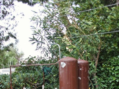 Apartment One bedroom apartment with balcony and sea view Nemira, Omiš A-5884-b - Outdoor photo 12