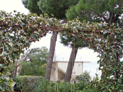 Apartment One bedroom apartment with balcony and sea view Nemira, Omiš A-5884-c - Outdoor photo 11