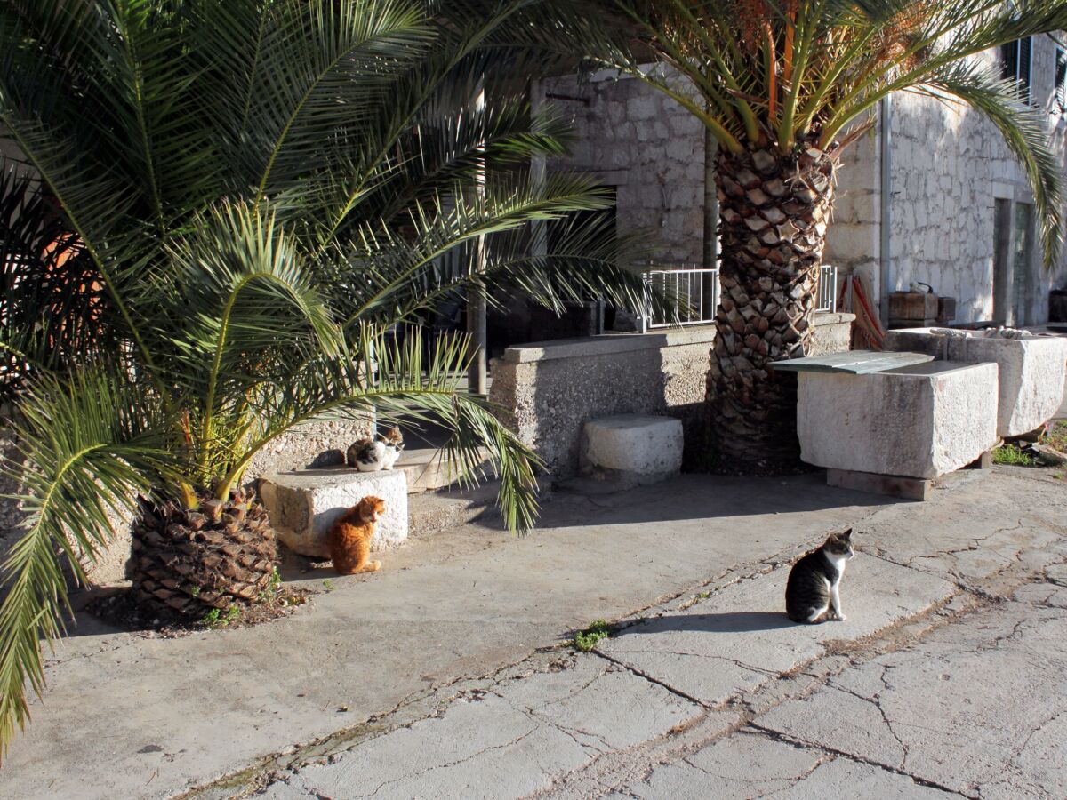 Apartment Four-bedroom apartment near beach Ražanj, Rogoznica A-5945-a - Outdoor photo 4