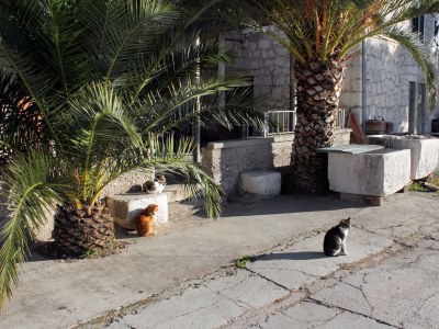 Apartment Four-bedroom apartment near beach Ražanj, Rogoznica A-5945-a - Outdoor photo 4