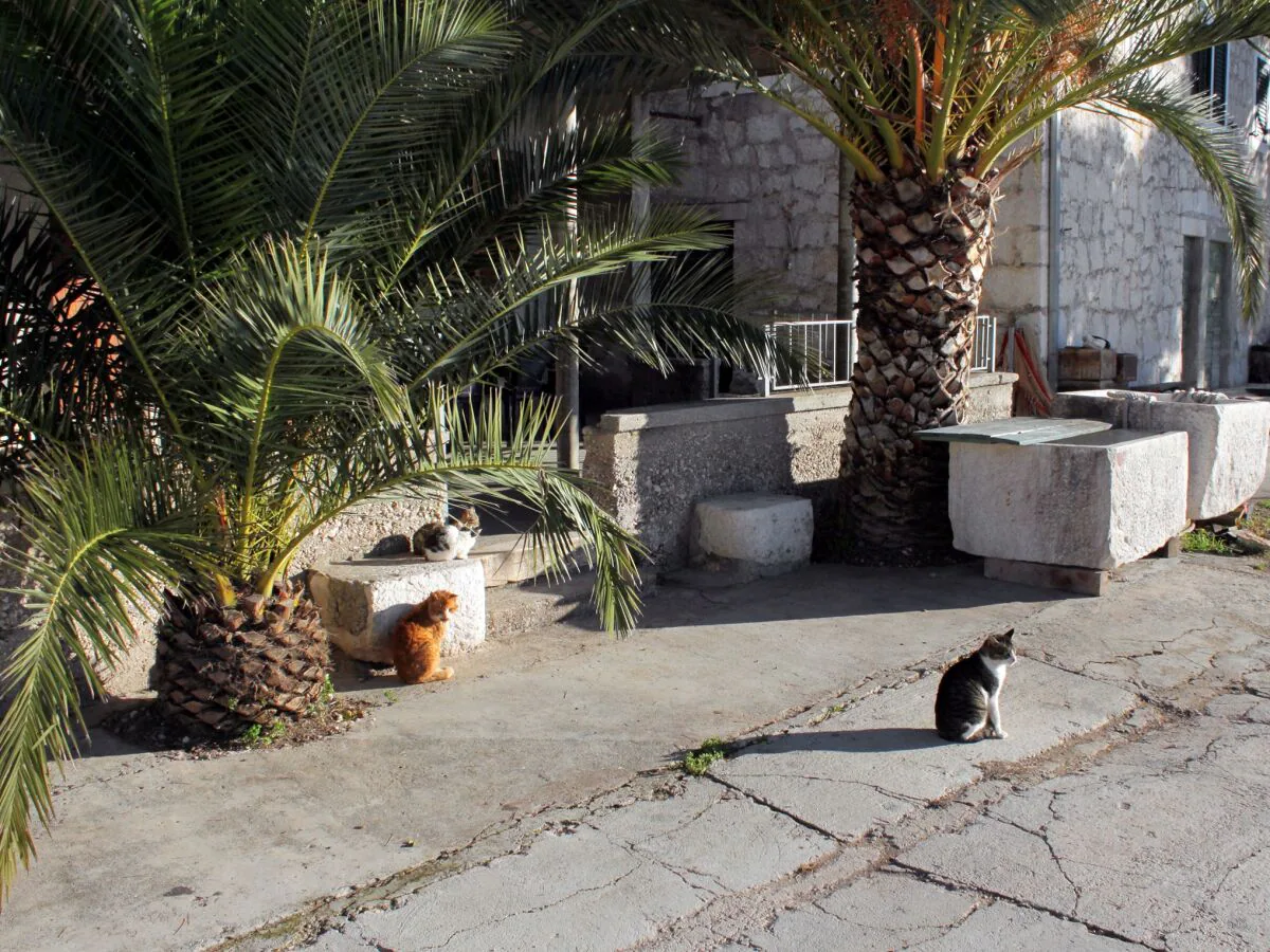 Apartment Two bedroom apartment near beach Ražanj, Rogoznica A-5945-b - Outdoor photo 4