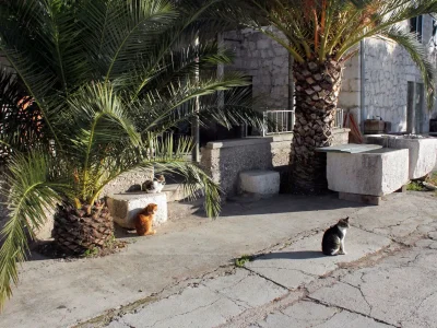 Apartment Two bedroom apartment near beach Ražanj, Rogoznica A-5945-b - Outdoor photo 4