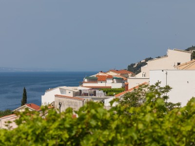 Apartment Two bedroom apartment with terrace and sea view Pisak, Omiš A-5975-a - Outdoor photo 30
