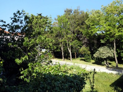 Apartment One bedroom apartment with balcony Sukošan, Zadar A-6229-a - Outdoor photo 18