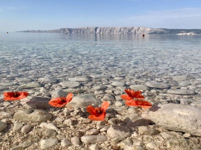 Holiday apartment LOFT2 at the beach, for 7+2p - Environment photo 30