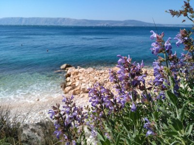 Holiday apartment LOFT2 at the beach, for 7+2p - Environment photo 31