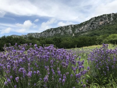 Holiday apartment LOFT2 at the beach, for 7+2p - Environment photo 37