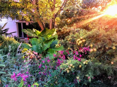 Holiday apartment LOFT  3 on 2 floors - Outdoor photo 14