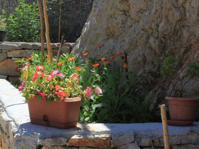 Apartment Studio flat with terrace Valun, Cres AS-8081-b - Outdoor photo 10