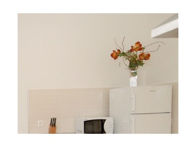 Apartment Two bedroom apartment with terrace Duga Luka (Prtlog), Labin A-5528-c - Outdoor photo 12