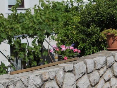 Apartment Two bedroom apartment with terrace Mali Lošinj, Lošinj A-8090-b - Outdoor photo 11