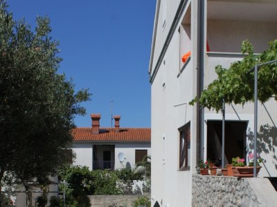 Apartment Two bedroom apartment with terrace Mali Lošinj, Lošinj A-8090-b - Outdoor photo 13