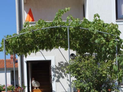 Apartment Two bedroom apartment with terrace Mali Lošinj, Lošinj A-8090-c - Outdoor photo 9