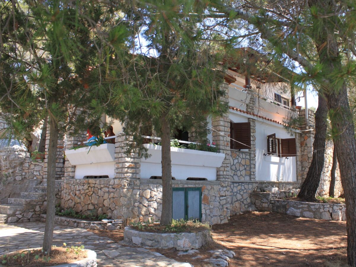 Apartment Seaside secluded apartments Lavdara, Dugi otok - 8114 - Outdoor photo 3