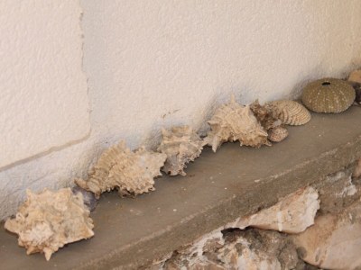 Apartment Seaside secluded apartments Lavdara, Dugi otok - 8114 - Outdoor photo 12