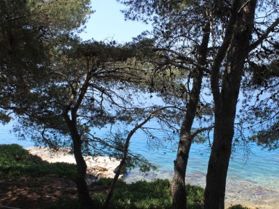 Apartment Seaside secluded apartments Lavdara, Dugi otok - 8114 - Outdoor photo 26