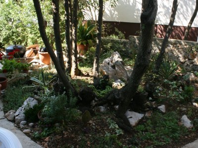 Apartment Two bedroom apartment with terrace Mandre, Pag A-6405-d - Outdoor photo 5