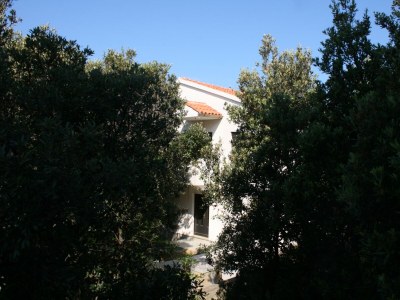 Apartment Two bedroom apartment with terrace Mandre, Pag A-6405-d - Outdoor photo 20